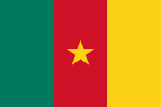 FLAG OF CAMEROON